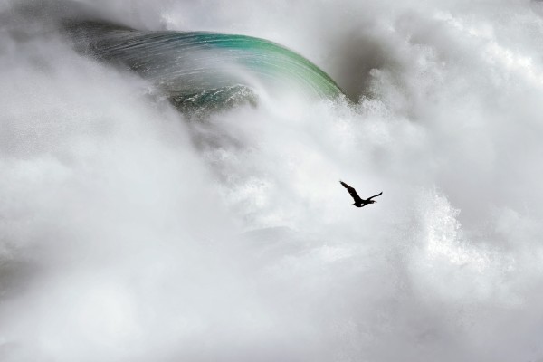 Mario Suárez Porras