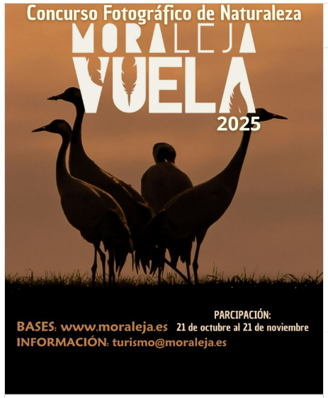 Moraleja vuela 2025