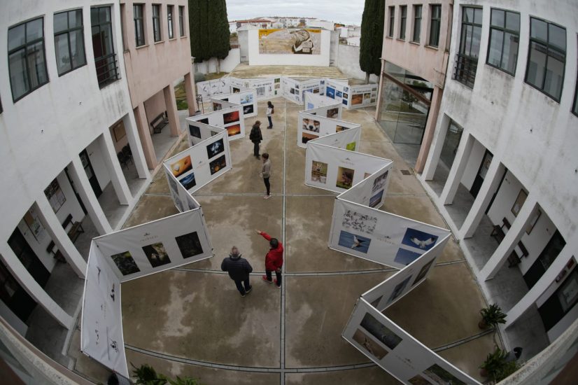 Congreso 2025_expo exterior_3