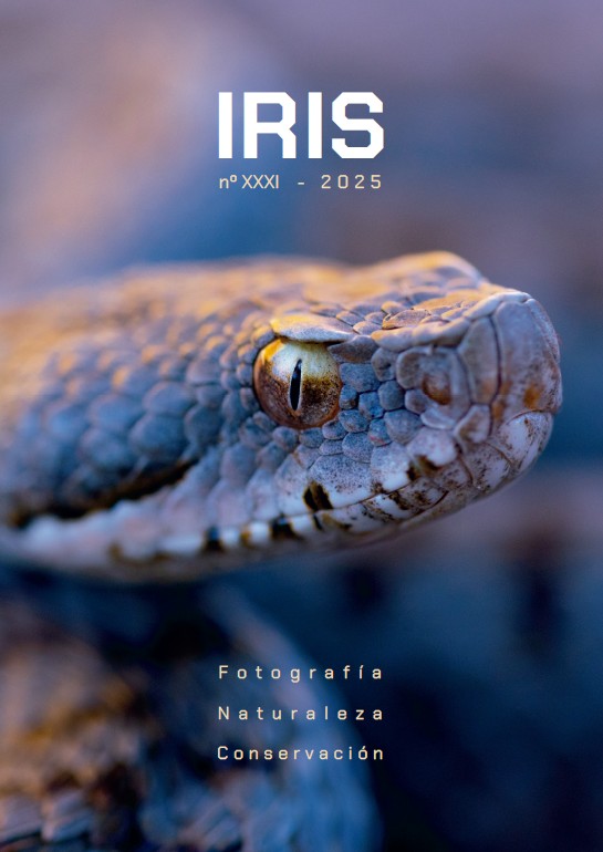 Portada Iris 31