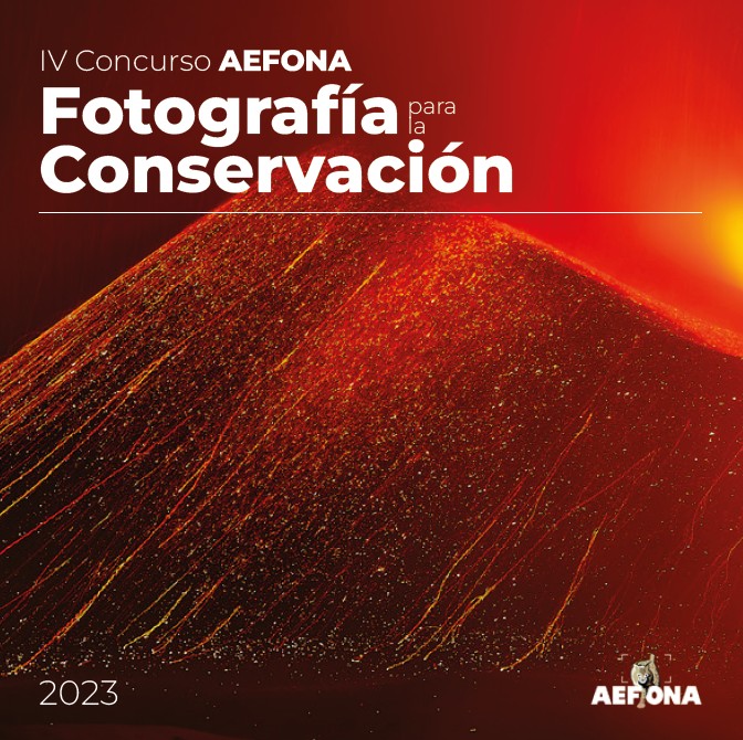 Portada libro IV Concurso AEFONA
