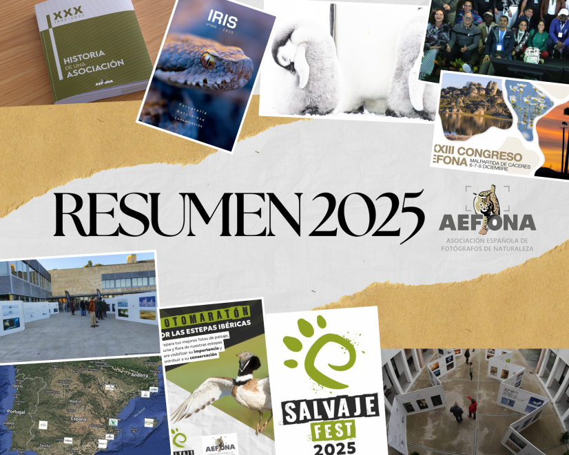 Tablero de Visión Metas del Año Collage Marrón Beige Negro