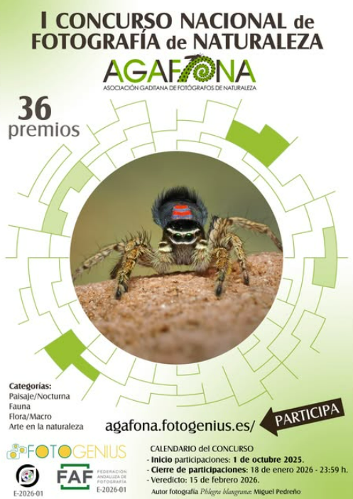 Concurso AGAFONA