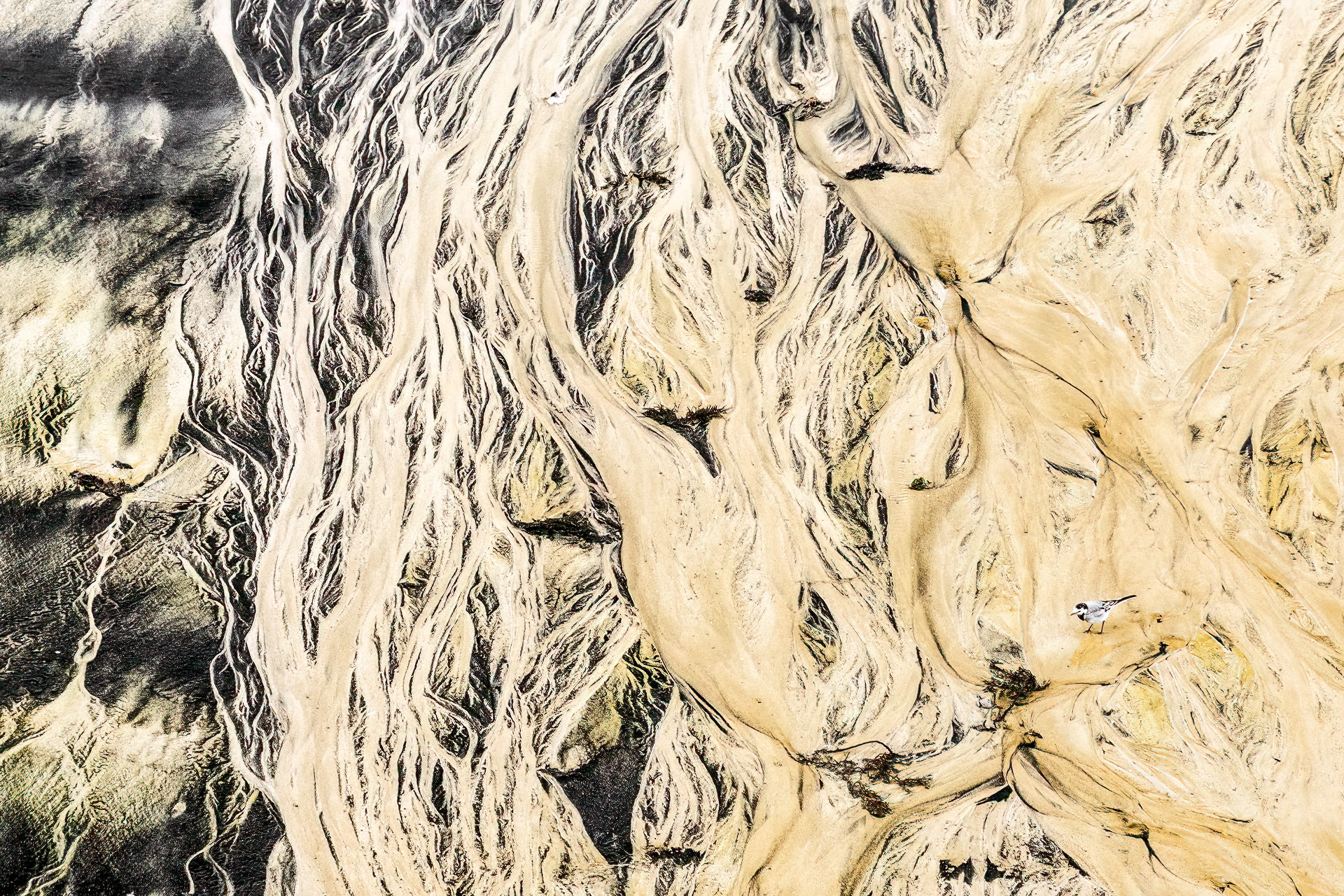 Mario Suárez Porras