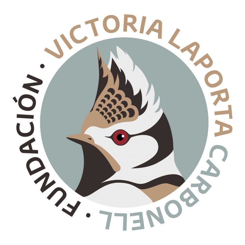 Fundación Victoria Laporta Logo