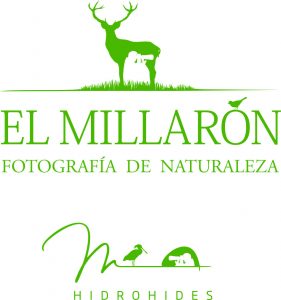 logo millaron manuel montero fondo blanco