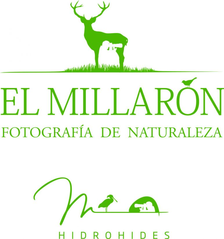 logo millaron manuel montero fondo blanco