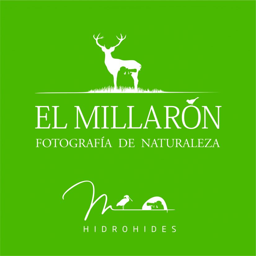 LOGOELMILLARON