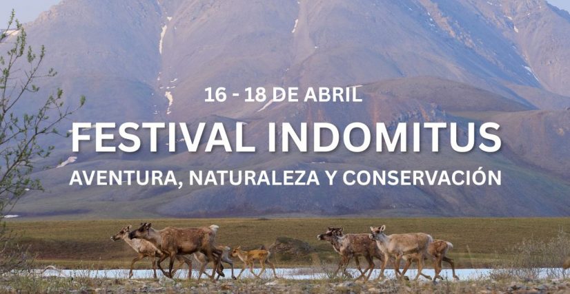 V Festival INDOMITUS_bannerFest