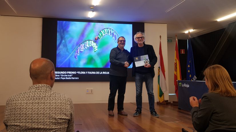 XIX Conc Ntza La Rioja_2