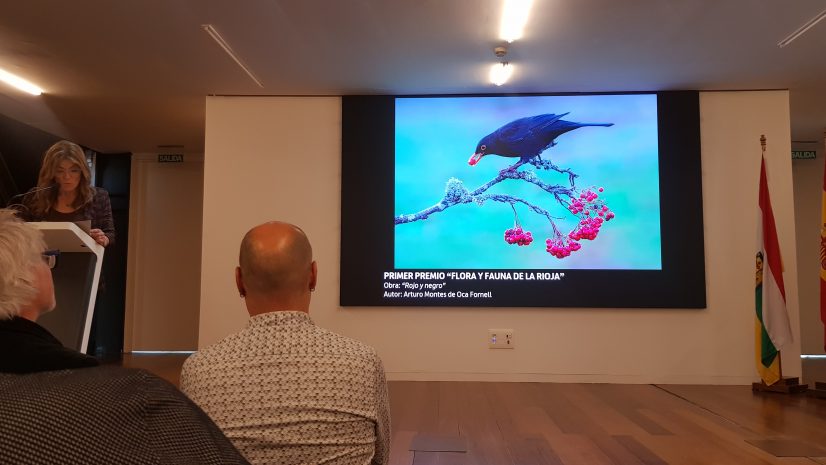 XIX Conc Ntza La Rioja_5