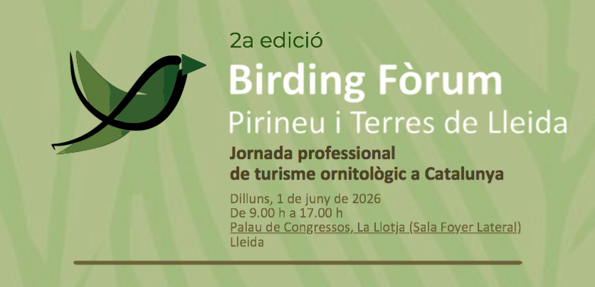 Birding forum