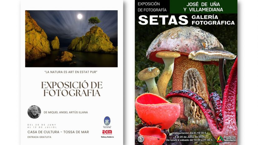 exposicion socios junio