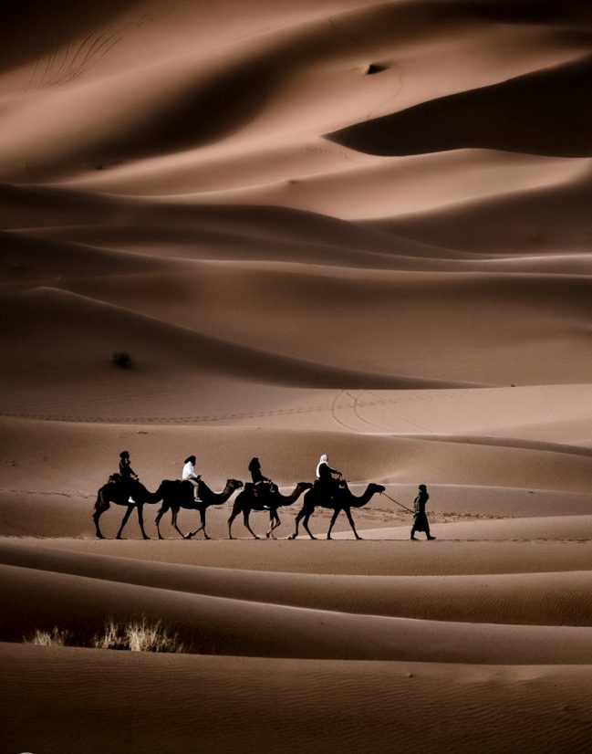Austral photo