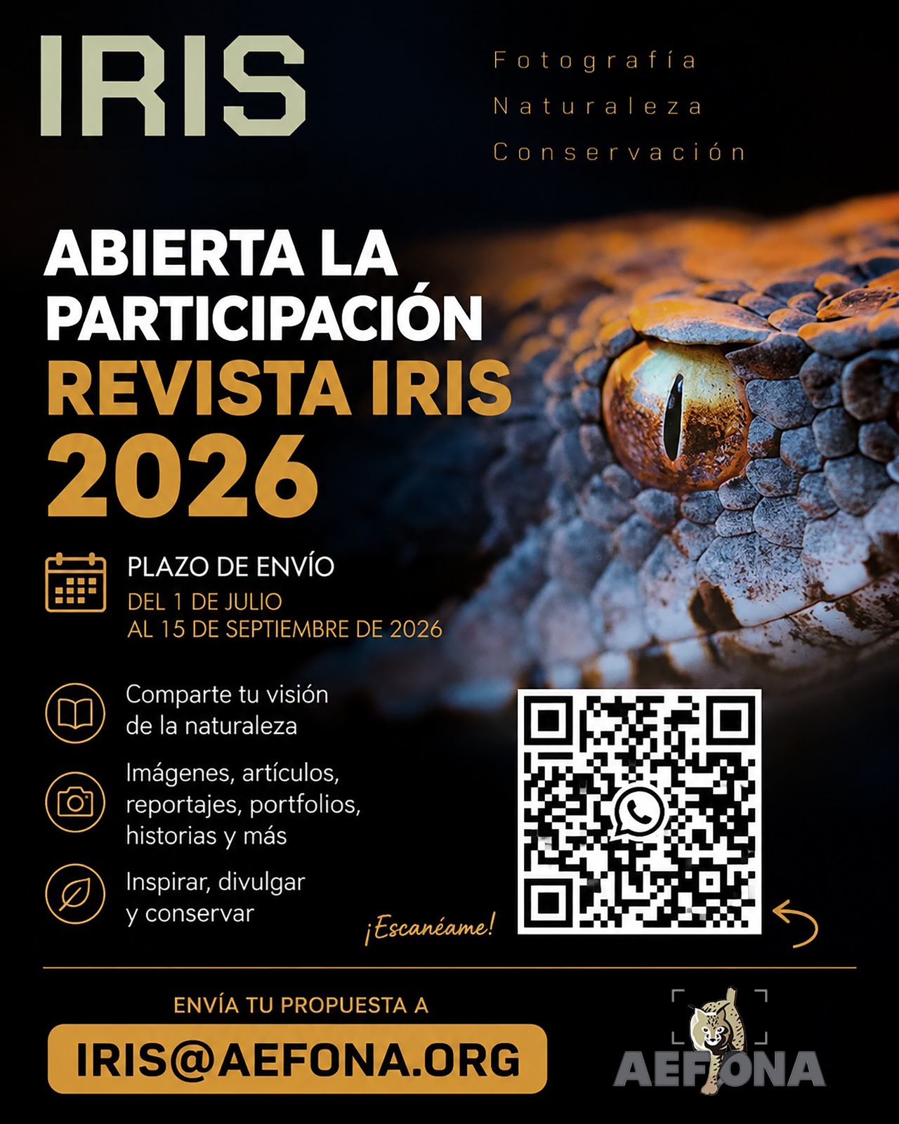 Participación Iris 2026