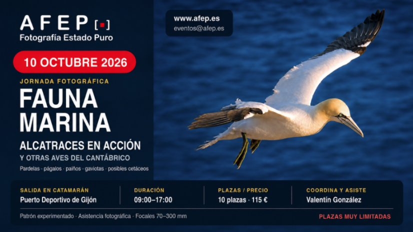 AFEP_Fauna Marina