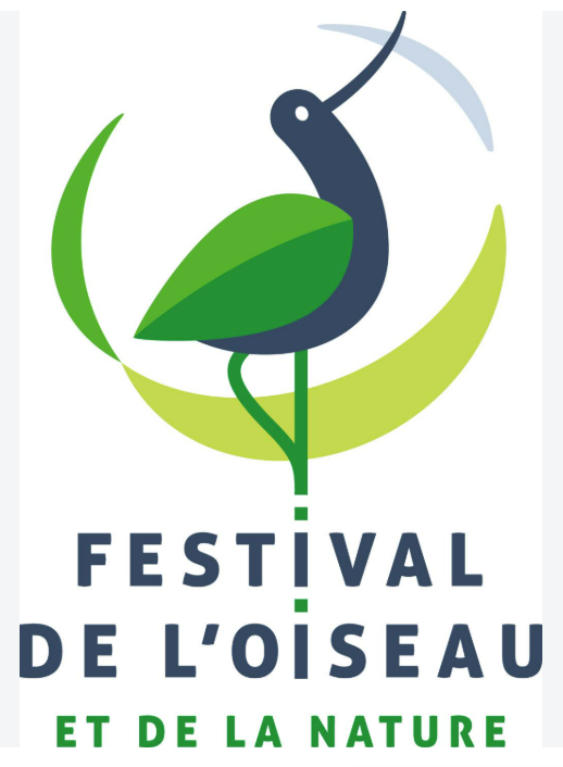 Festival de L Oiseau 3