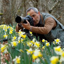 Jose luis Gomez de Francisco