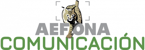 Logo AEFONA 2021 – Comunicacion
